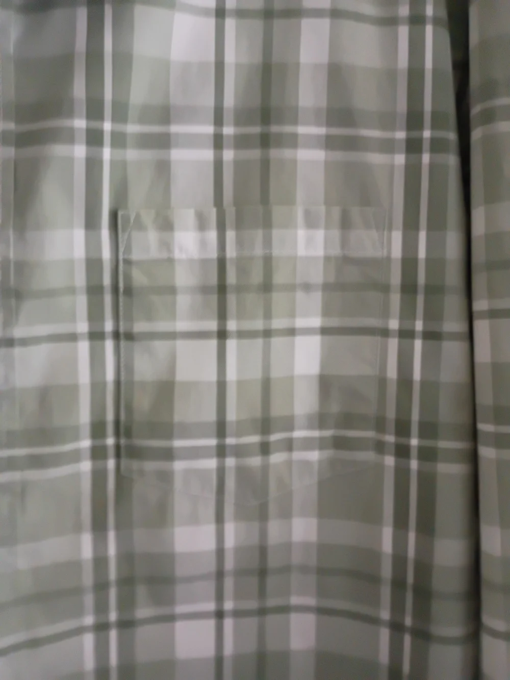 J. Crew Green and White Plaid Button-Down Shirt